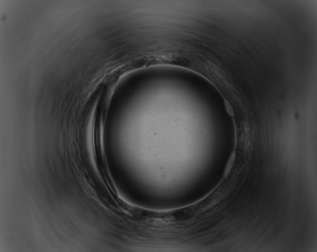 X0000051860548200507012343