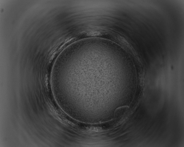 X0000051860549200507012343