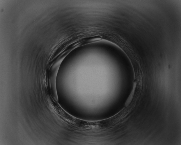 X0000051860552200507012343