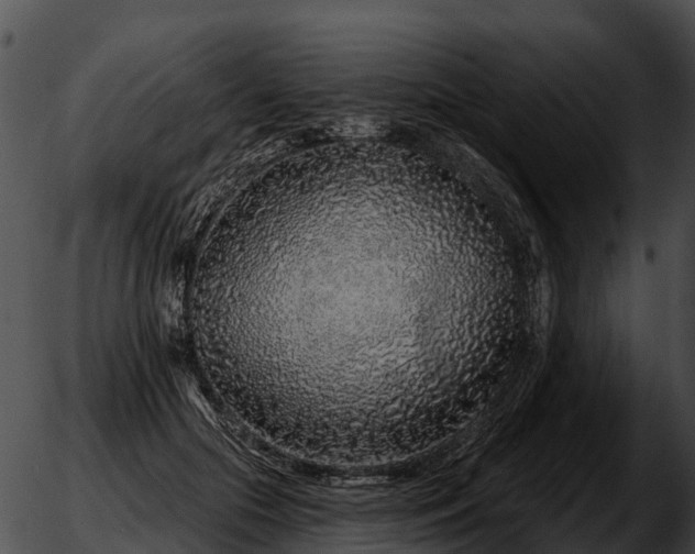 X0000051860553200507012343