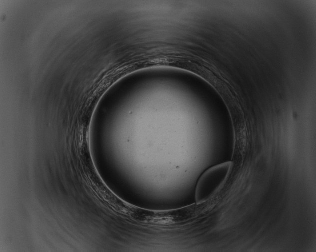 X0000051860554200507012343