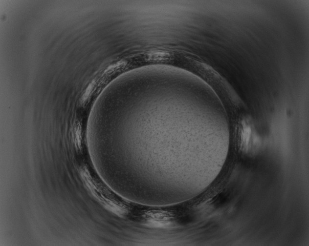 X0000051860557200507012343