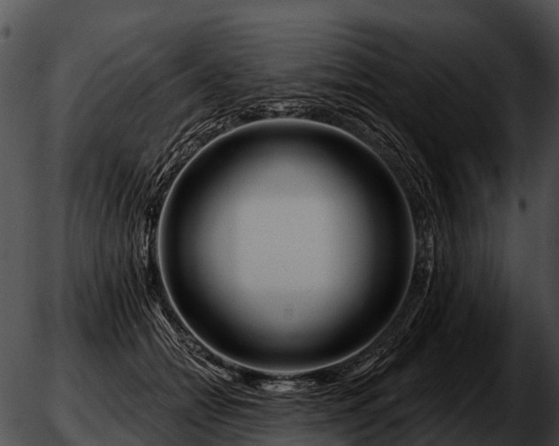 X0000051860558200507012343