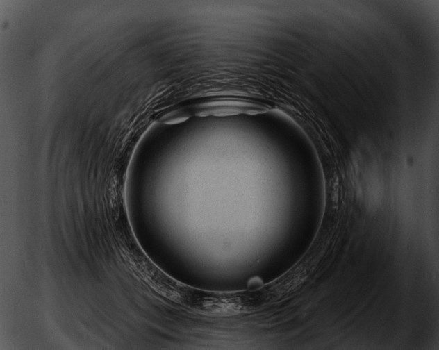 X0000051860559200507012343