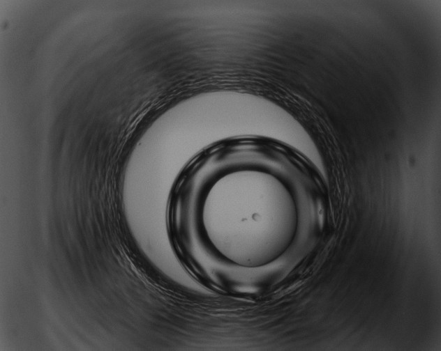 X0000051860560200507012343