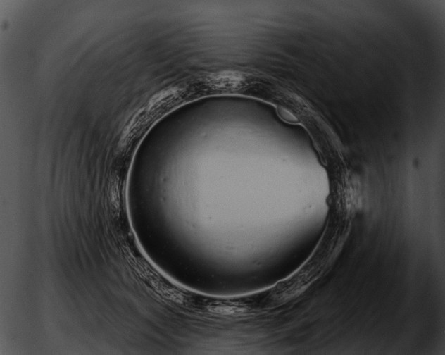 X0000051860561200507012343