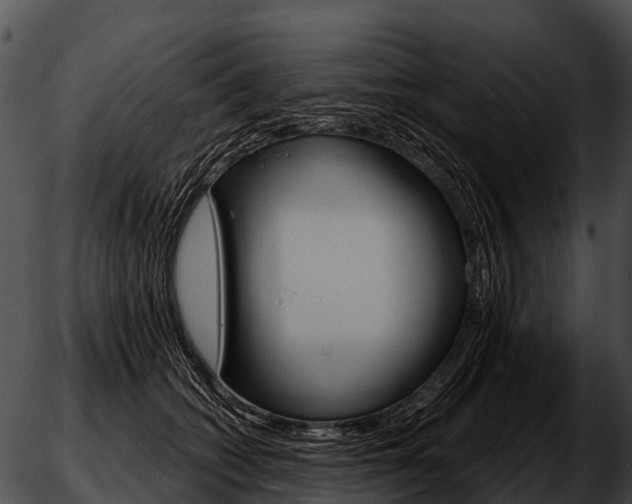 X0000051860562200507012343