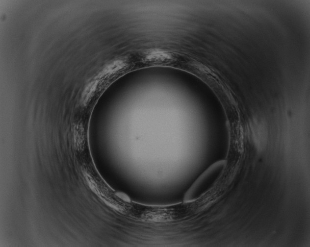 X0000051860563200507012343