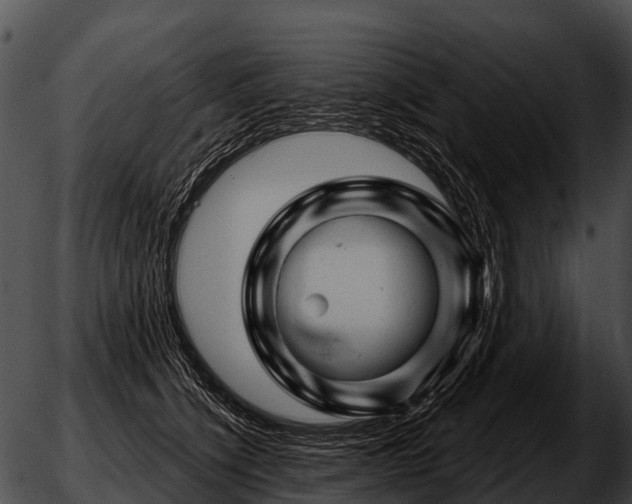 X0000051860564200507012343