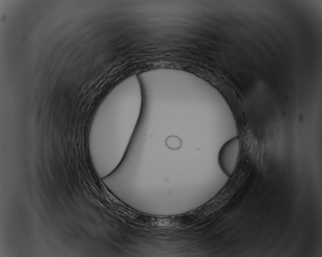 X0000051860565200507012343