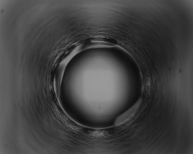 X0000051860566200507012343