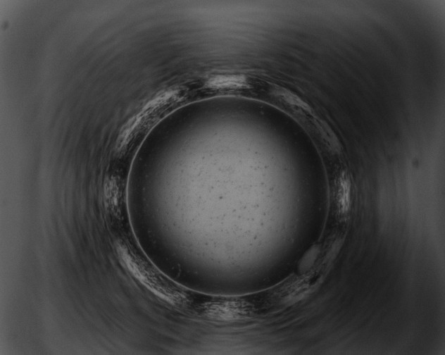 X0000051860567200507012343