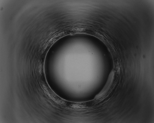 X0000051860568200507012343