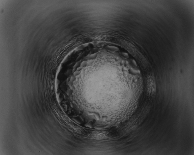 X0000051860569200507012343