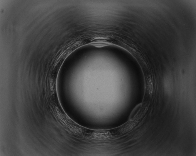 X0000051860571200507012343