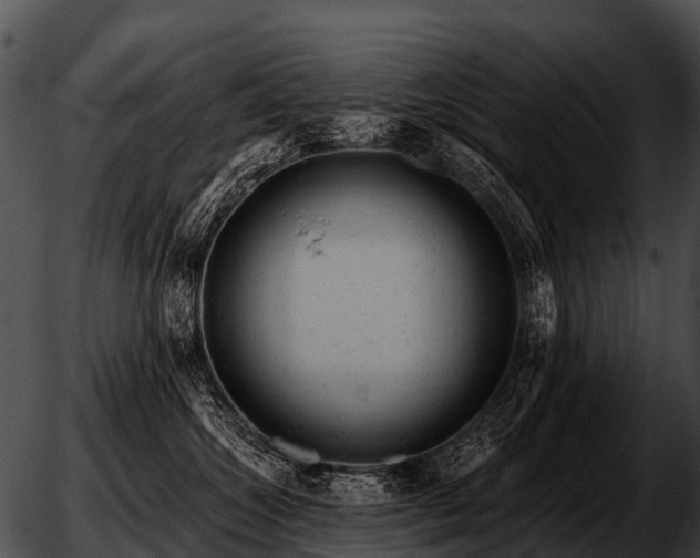 X0000051860572200507012343