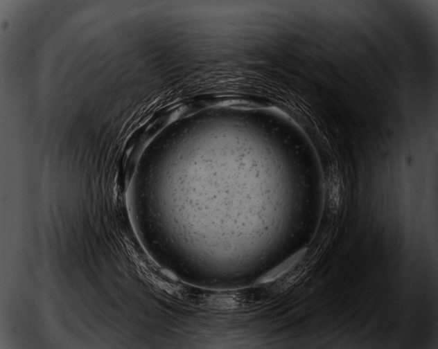 X0000051860574200507012343