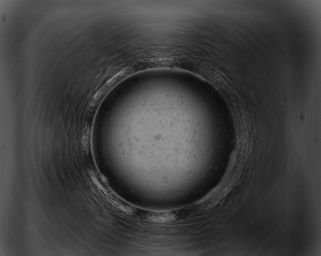 X0000051860576200507012343