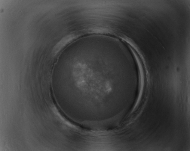 X0000051860577200507012343