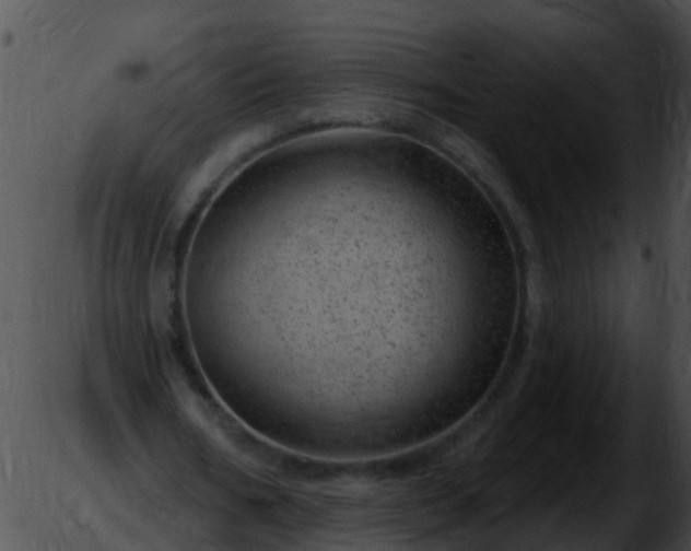 X0000051860578200507012343