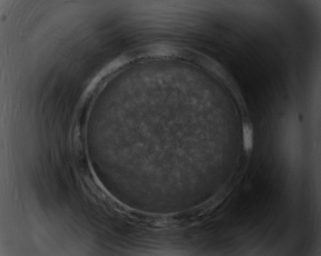 X0000051860579200507012343