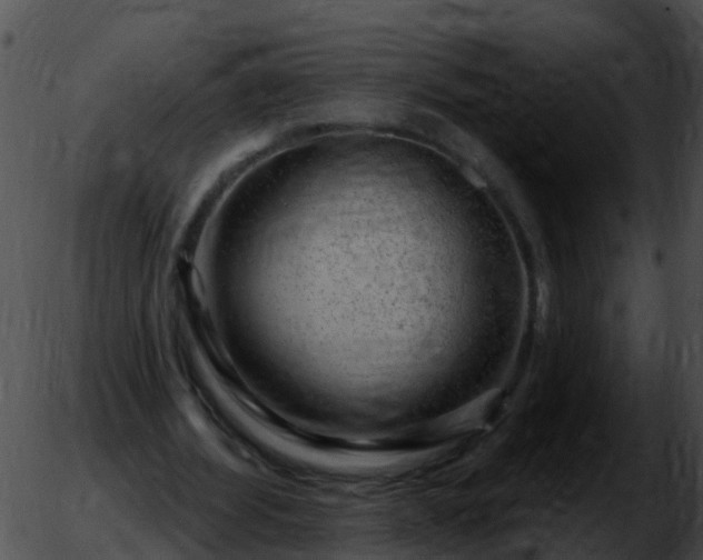 X0000051860580200507012343