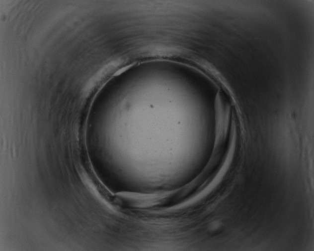 X0000051860581200507012343