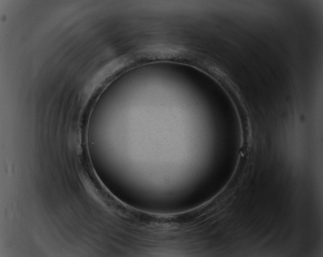 X0000051860582200507012343