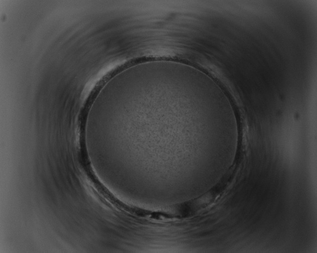 X0000051860584200507012343