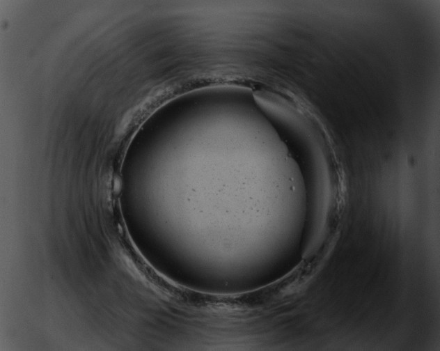 X0000051860585200507012343