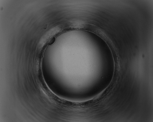 X0000051860586200507012342