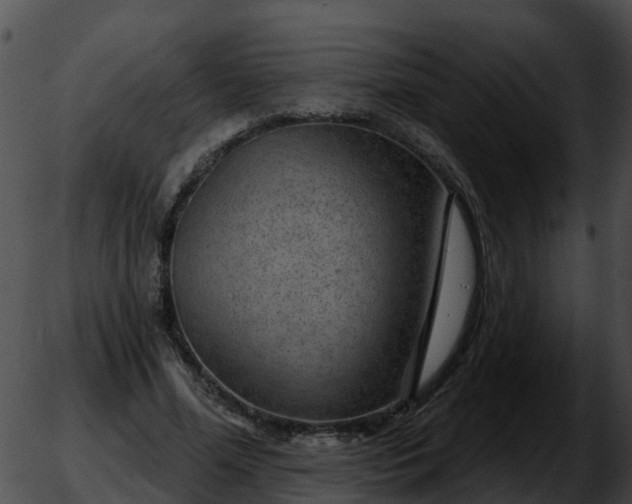 X0000051860588200507012342