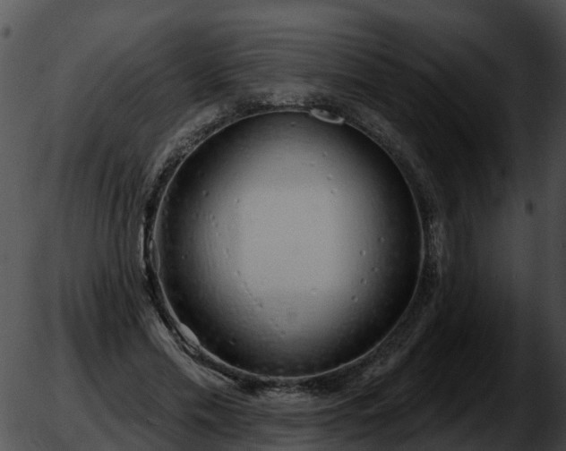 X0000051860589200507012342