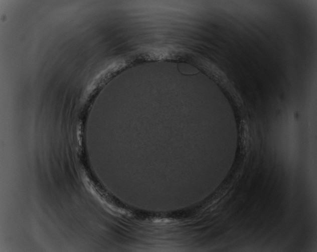 X0000051860590200507012342