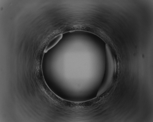 X0000051860593200507012342