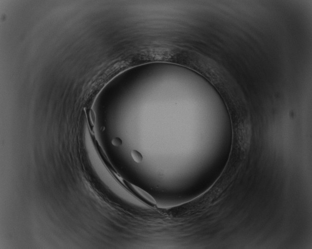 X0000051860594200507012342