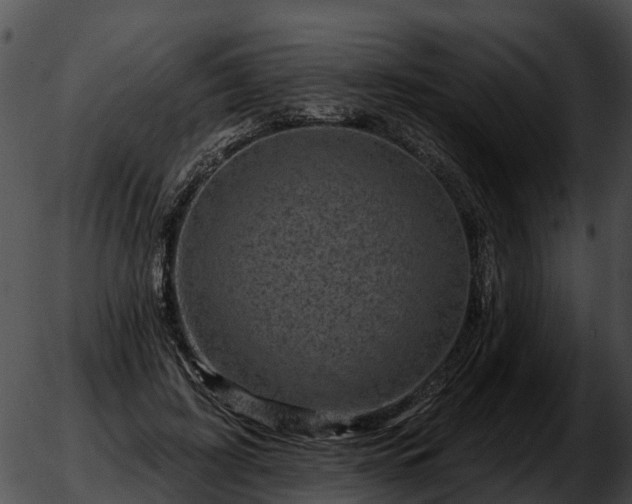 X0000051860595200507012342