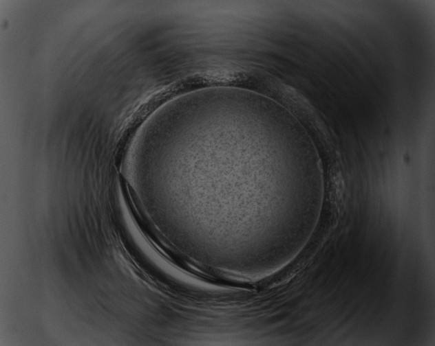 X0000051860596200507012342