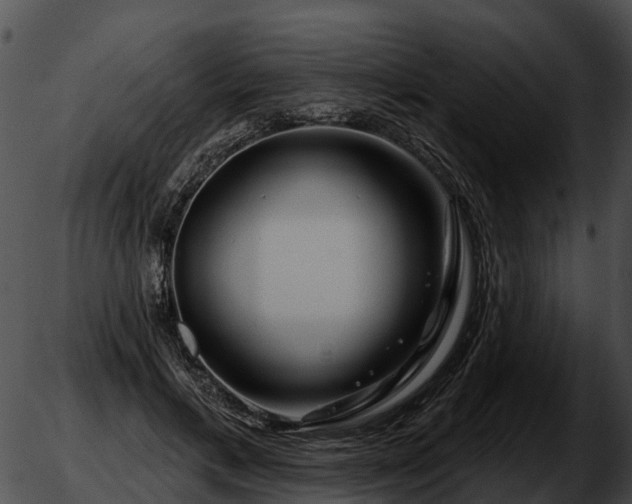 X0000051860597200507012342