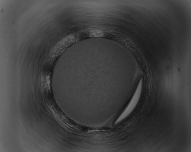 X0000051860598200507012342