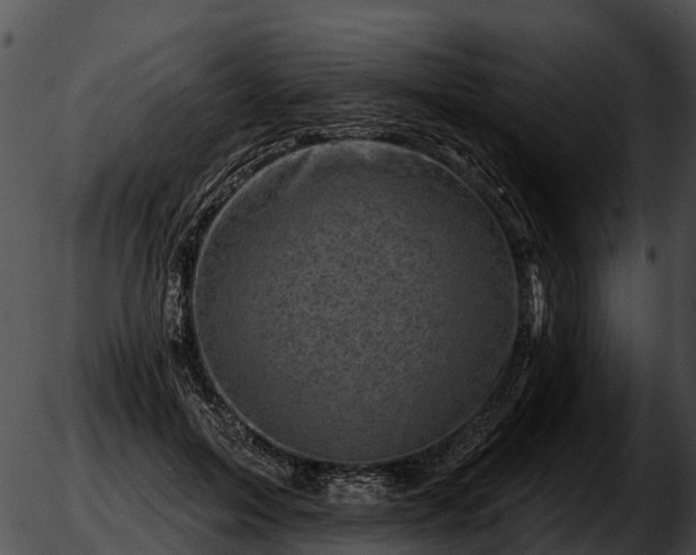 X0000051860599200507012342