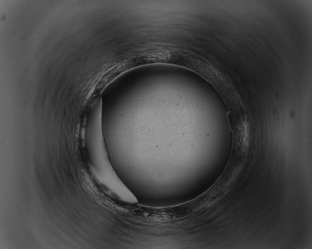 X0000051860600200507012342