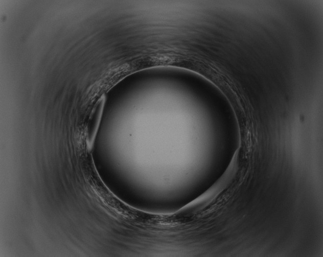 X0000051860601200507012342