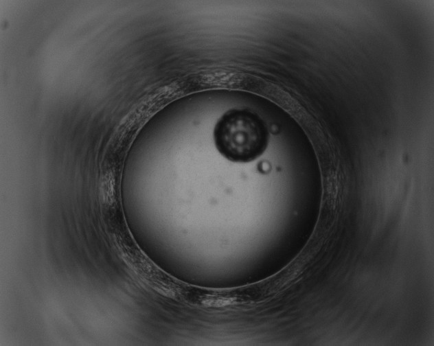 X0000051860602200507012342