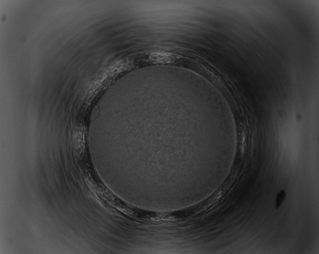 X0000051860603200507012342