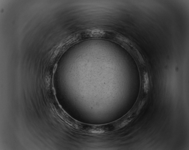 X0000051860604200507012342