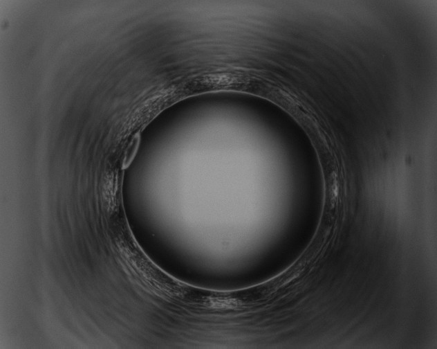 X0000051860605200507012342