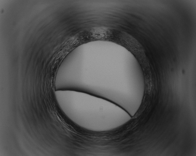 X0000051860606200507012342