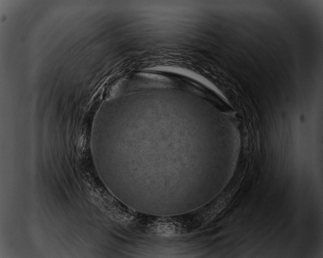 X0000051860608200507012342