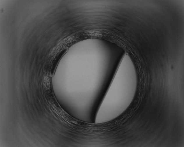 X0000051860609200507012342